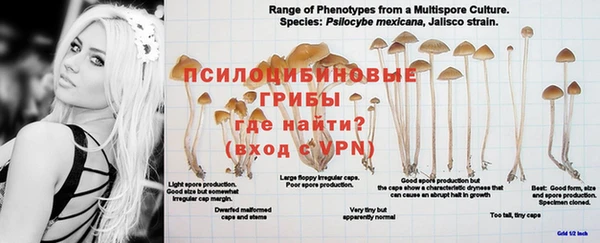 меф Белоозёрский