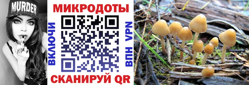 дарк нет наркотические препараты  Кирово-Чепецк  Галлюциногенные грибы GOLDEN TEACHER 