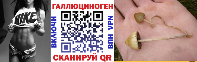Галлюциногенные грибы мухоморы Кирово-Чепецк